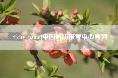 牡丹江中国消防报考中心官网