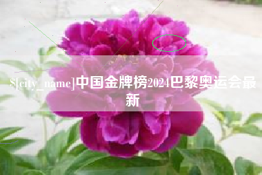 牡丹江中国金牌榜2024巴黎奥运会最新