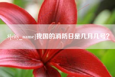 牡丹江我国的消防日是几月几号？