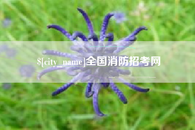 牡丹江全国消防招考网