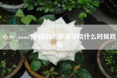 牡丹江中国消防救援学院什么时候政审