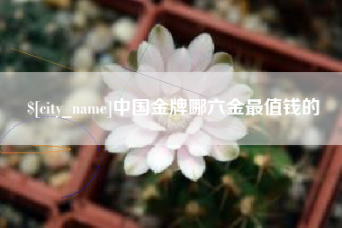 牡丹江中国金牌哪六金最值钱的