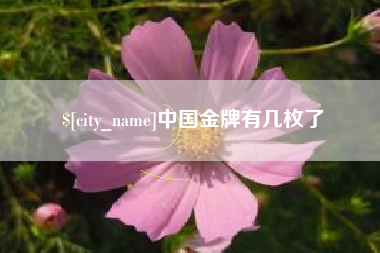 牡丹江中国金牌有几枚了