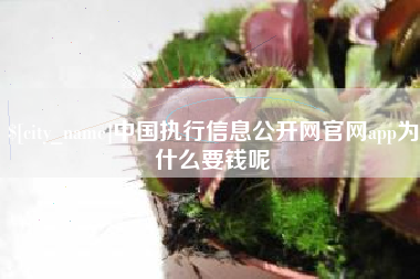 牡丹江中国执行信息公开网官网app为什么要钱呢