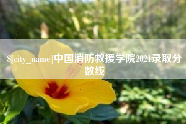 牡丹江中国消防救援学院2021录取分数线