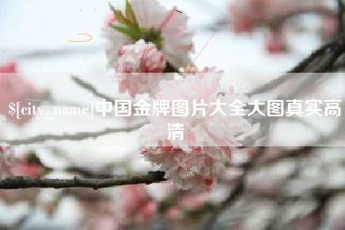 牡丹江中国金牌图片大全大图真实高清