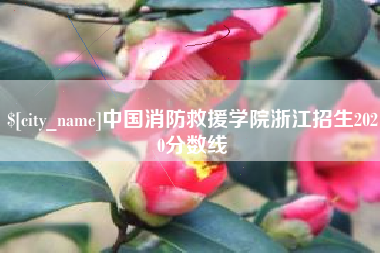 牡丹江中国消防救援学院浙江招生2020分数线