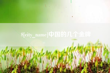 牡丹江中国的几个金牌