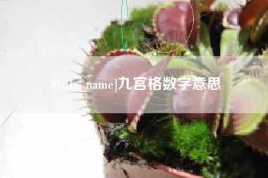 牡丹江九宫格数字意思