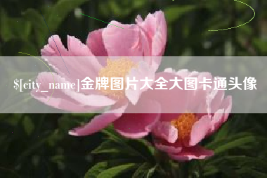 牡丹江金牌图片大全大图卡通头像