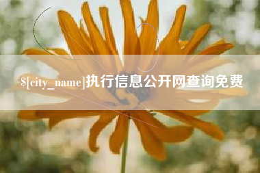牡丹江执行信息公开网查询免费